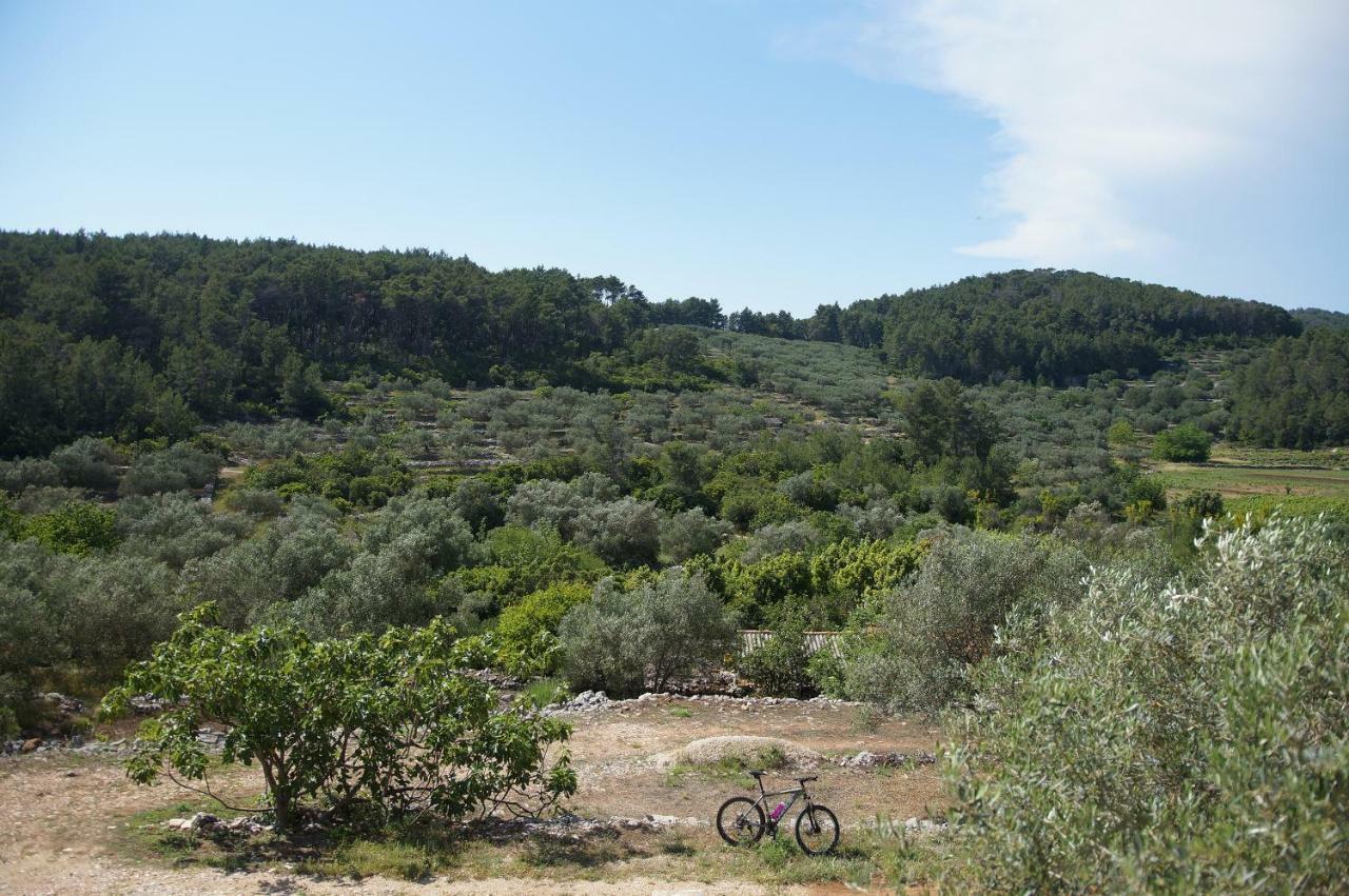 Holiday Home Liberan Vela Luka Buitenkant foto