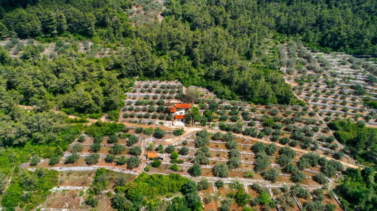 Holiday Home Liberan Vela Luka Buitenkant foto